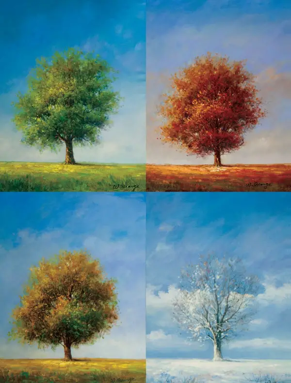 The 4 Seasons